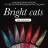 NAIL REPUBLIC   Гель-лак кошачий глаз светоотражающий   10мл   Bright Cats   #680